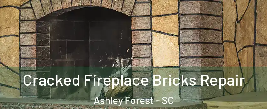 Cracked Fireplace Bricks Repair Ashley Forest - SC