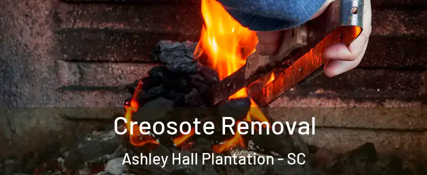 Creosote Removal Ashley Hall Plantation - SC