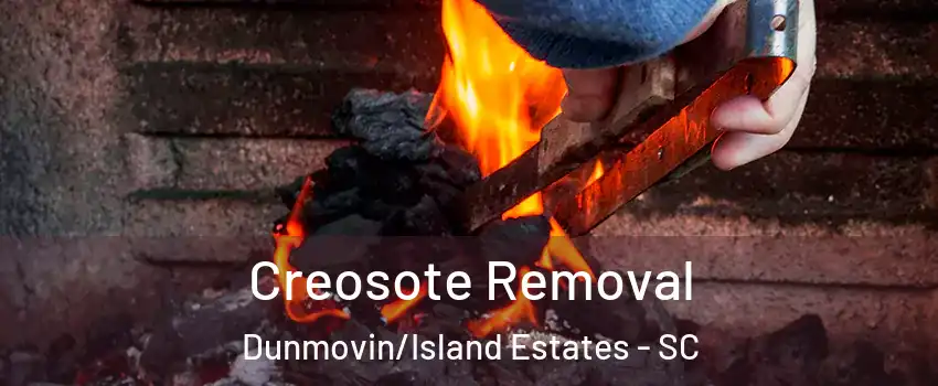 Creosote Removal Dunmovin/Island Estates - SC