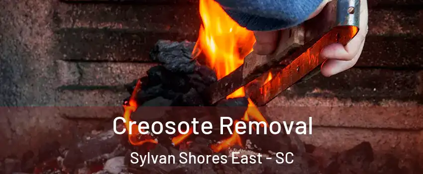Creosote Removal Sylvan Shores East - SC