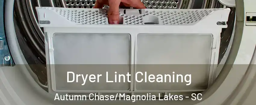 Dryer Lint Cleaning Autumn Chase/Magnolia Lakes - SC