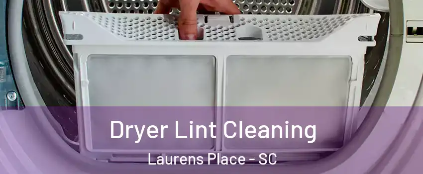 Dryer Lint Cleaning Laurens Place - SC