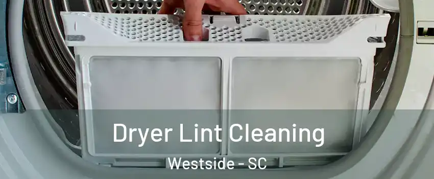 Dryer Lint Cleaning Westside - SC