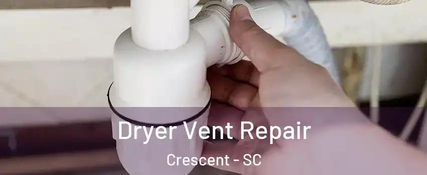 Dryer Vent Repair Crescent - SC