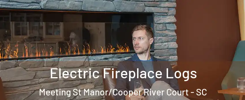Electric Fireplace Logs Meeting St Manor/Cooper River Court - SC