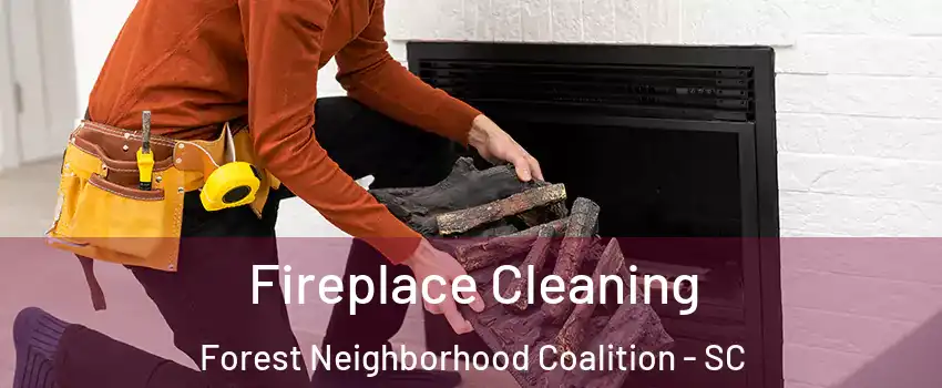 Fireplace Cleaning Forest Neighborhood Coalition - SC