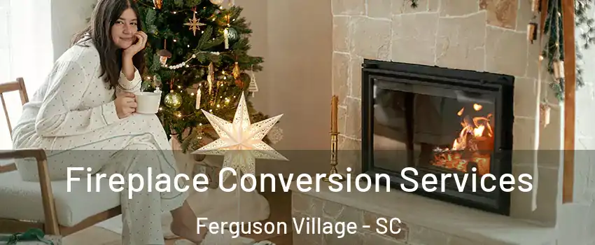 Fireplace Conversion Services Ferguson Village - SC