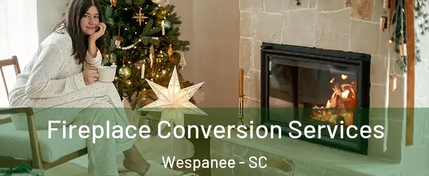 Fireplace Conversion Services Wespanee - SC
