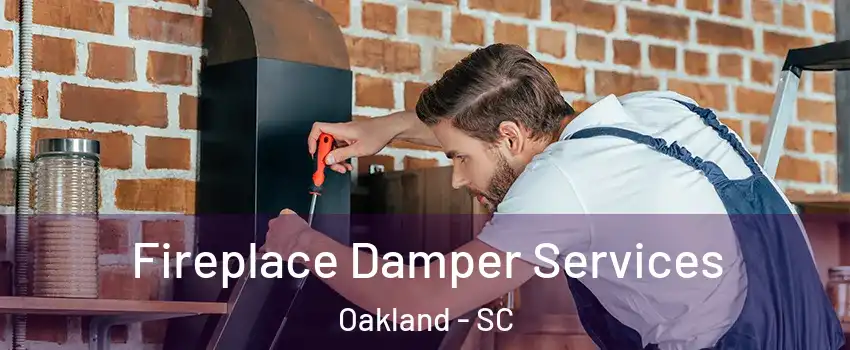 Fireplace Damper Services Oakland - SC