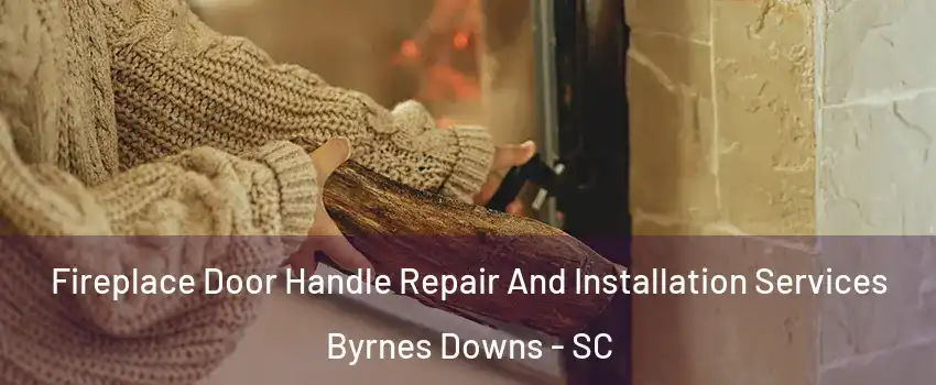 Fireplace Door Handle Repair And Installation Services Byrnes Downs - SC