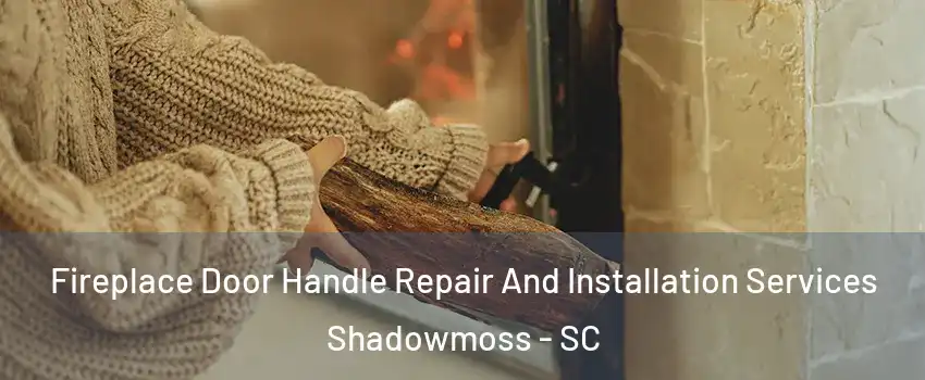 Fireplace Door Handle Repair And Installation Services Shadowmoss - SC