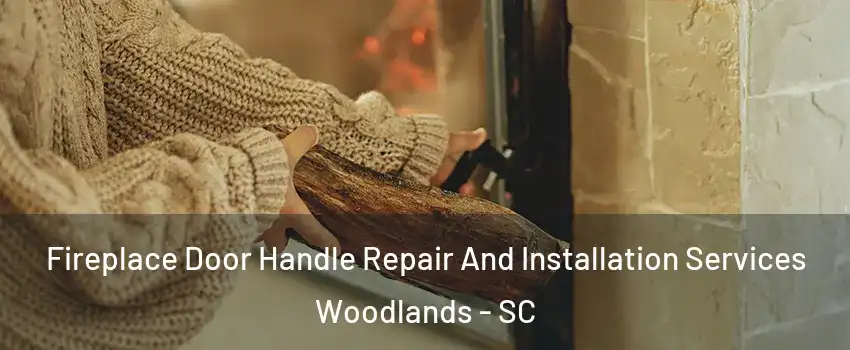 Fireplace Door Handle Repair And Installation Services Woodlands - SC