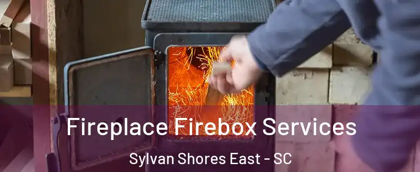 Fireplace Firebox Services Sylvan Shores East - SC