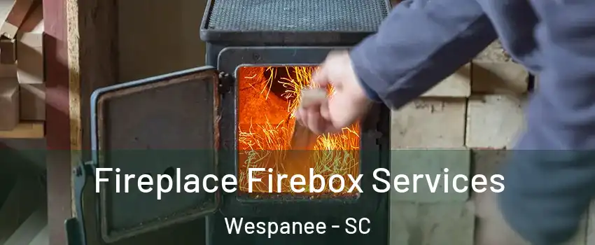 Fireplace Firebox Services Wespanee - SC