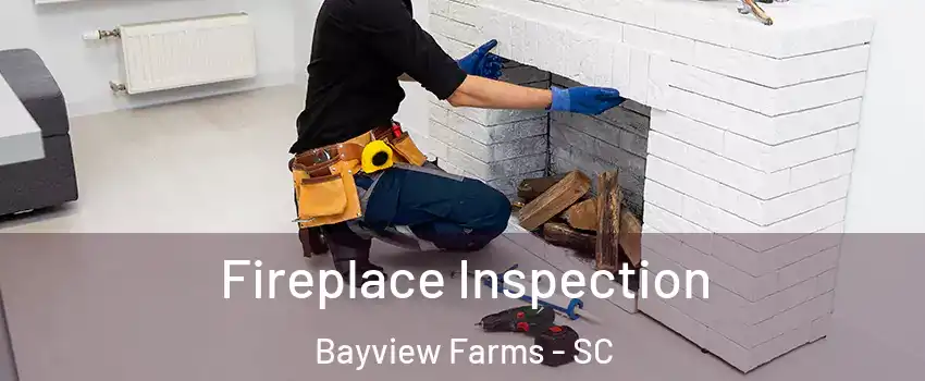 Fireplace Inspection Bayview Farms - SC