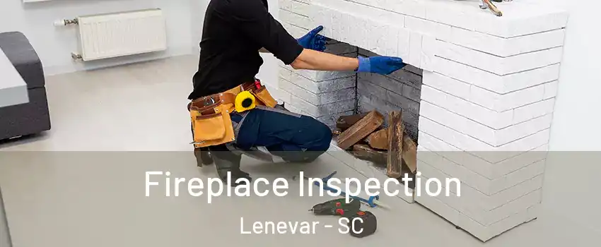 Fireplace Inspection Lenevar - SC