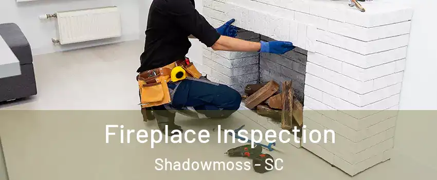 Fireplace Inspection Shadowmoss - SC
