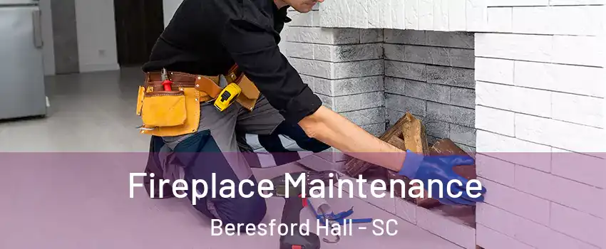Fireplace Maintenance Beresford Hall - SC