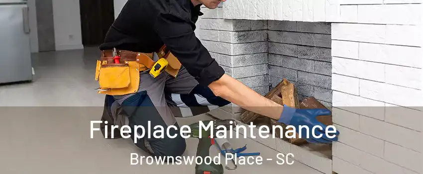 Fireplace Maintenance Brownswood Place - SC