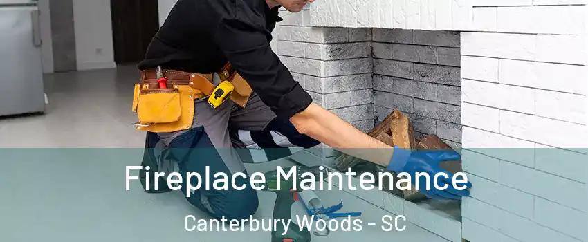 Fireplace Maintenance Canterbury Woods - SC