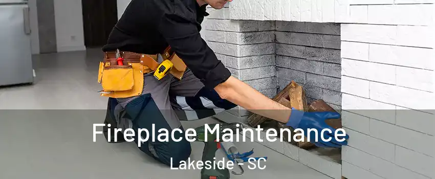 Fireplace Maintenance Lakeside - SC
