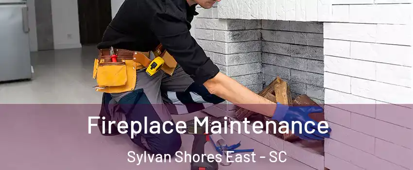 Fireplace Maintenance Sylvan Shores East - SC