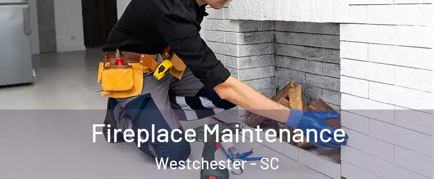 Fireplace Maintenance Westchester - SC