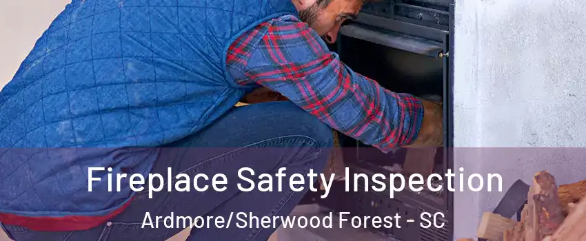Fireplace Safety Inspection Ardmore/Sherwood Forest - SC