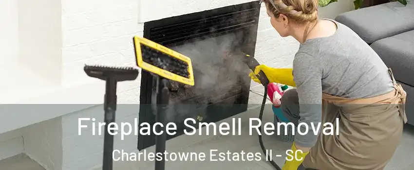 Fireplace Smell Removal Charlestowne Estates II - SC
