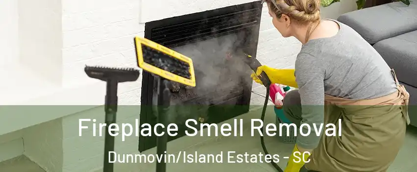 Fireplace Smell Removal Dunmovin/Island Estates - SC