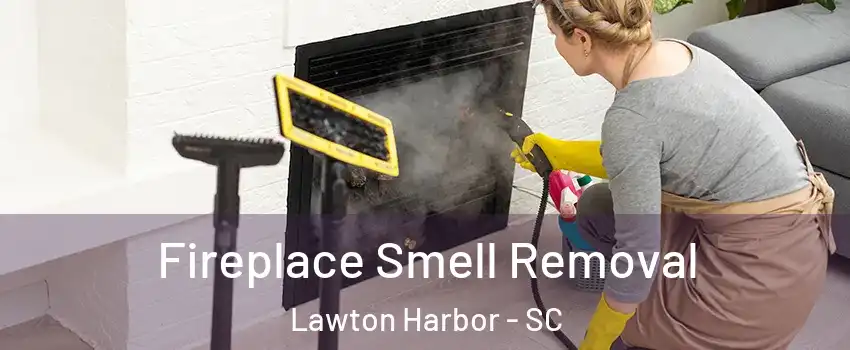 Fireplace Smell Removal Lawton Harbor - SC