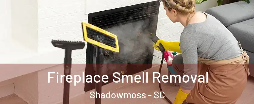 Fireplace Smell Removal Shadowmoss - SC