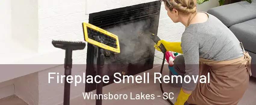 Fireplace Smell Removal Winnsboro Lakes - SC