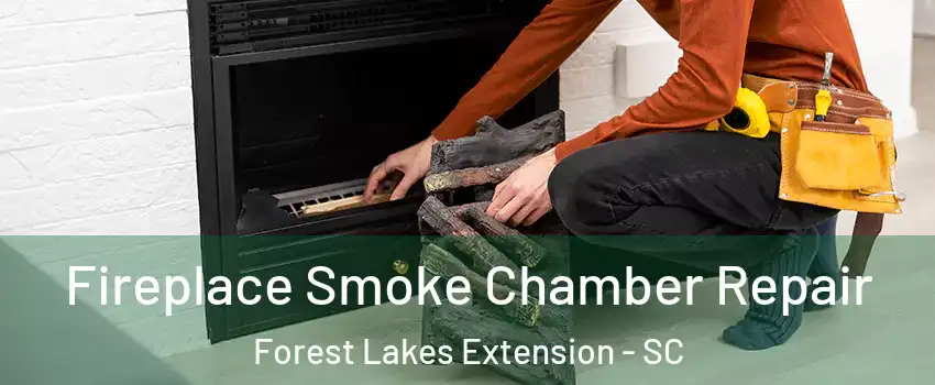 Fireplace Smoke Chamber Repair Forest Lakes Extension - SC