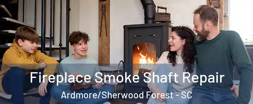 Fireplace Smoke Shaft Repair Ardmore/Sherwood Forest - SC