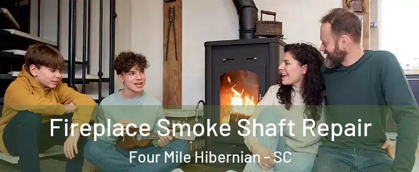 Fireplace Smoke Shaft Repair Four Mile Hibernian - SC