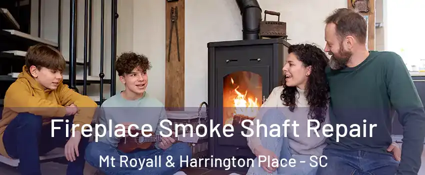 Fireplace Smoke Shaft Repair Mt Royall & Harrington Place - SC
