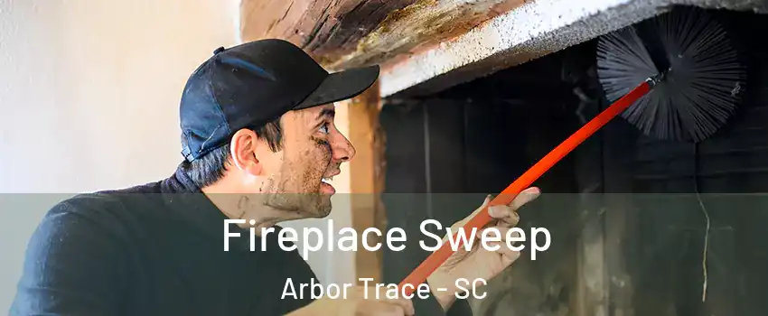 Fireplace Sweep Arbor Trace - SC