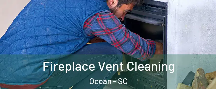 Fireplace Vent Cleaning Ocean - SC