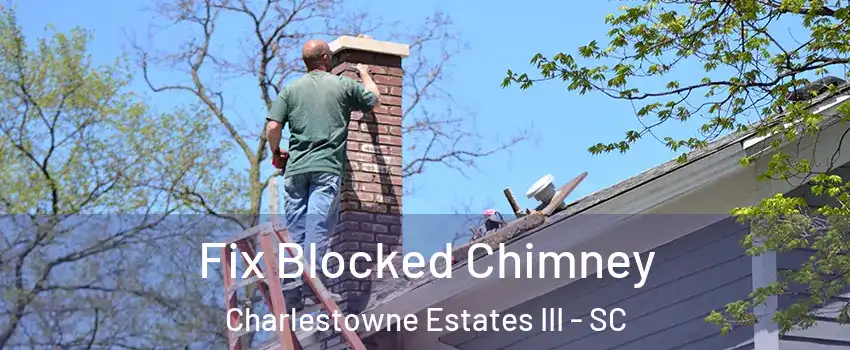 Fix Blocked Chimney Charlestowne Estates III - SC