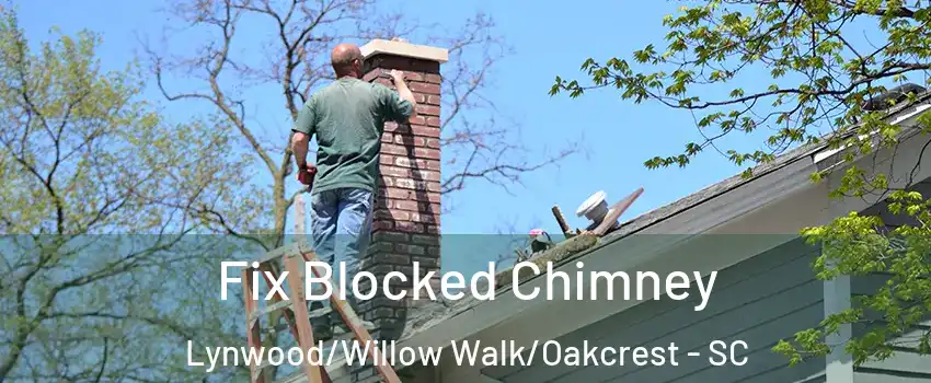 Fix Blocked Chimney Lynwood/Willow Walk/Oakcrest - SC