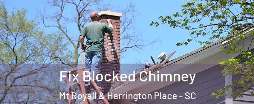 Fix Blocked Chimney Mt Royall & Harrington Place - SC
