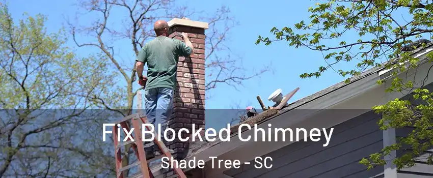 Fix Blocked Chimney Shade Tree - SC