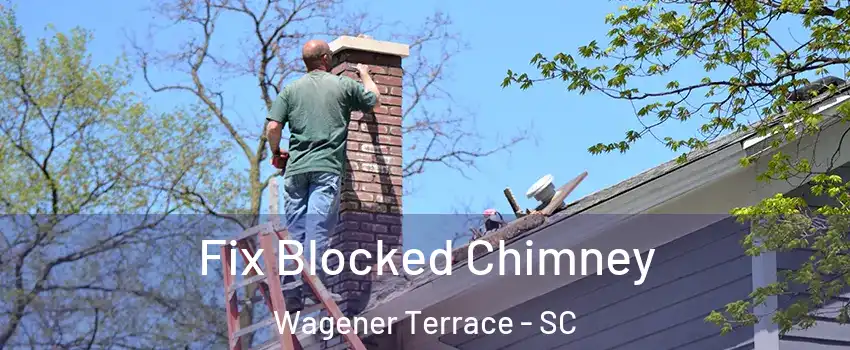 Fix Blocked Chimney Wagener Terrace - SC