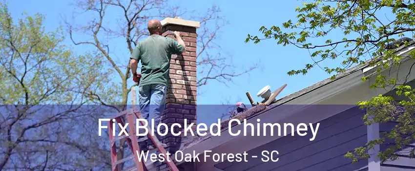 Fix Blocked Chimney West Oak Forest - SC