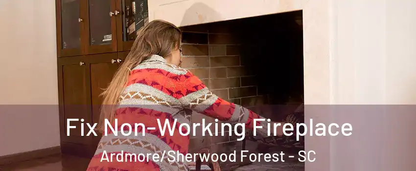 Fix Non-Working Fireplace Ardmore/Sherwood Forest - SC