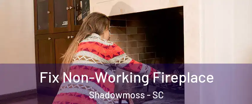 Fix Non-Working Fireplace Shadowmoss - SC