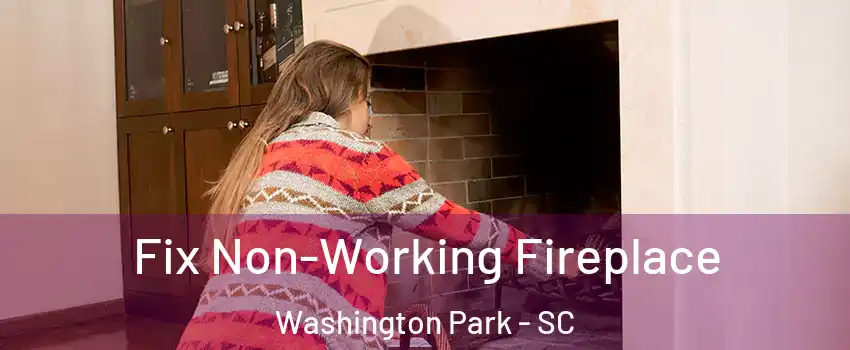 Fix Non-Working Fireplace Washington Park - SC