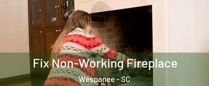 Fix Non-Working Fireplace Wespanee - SC