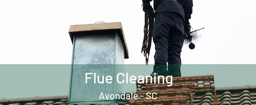 Flue Cleaning Avondale - SC